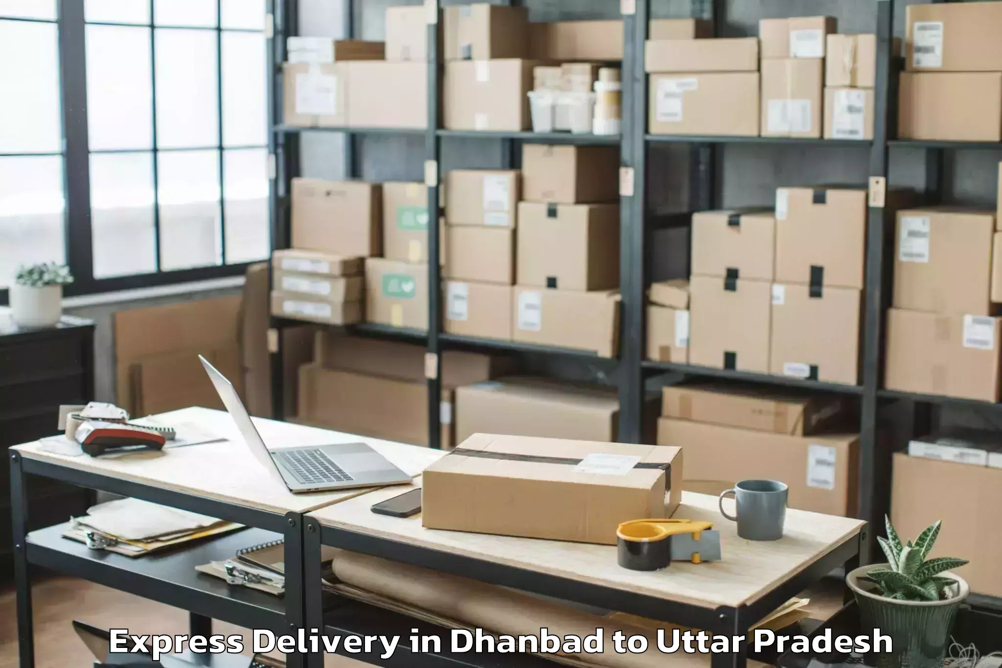 Top Dhanbad to Nehru Gram Bharati Vishwavidya Express Delivery Available